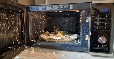 Zdjęcia są przestrogą dla wszystkich. Nigdy nie wrzucaj tego do mikrofalówki