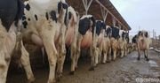 Kary dla rolników 2025. Sankcje sięgną nawet 60 tys. zł