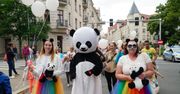 Dni Łazarza. Największe takie święto w Poznaniu już za chwilę. Oto program imprezy