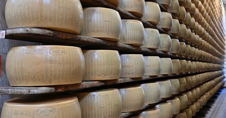Upały uderzają w produkcję. Legendarny włoski ser może odejść do historii