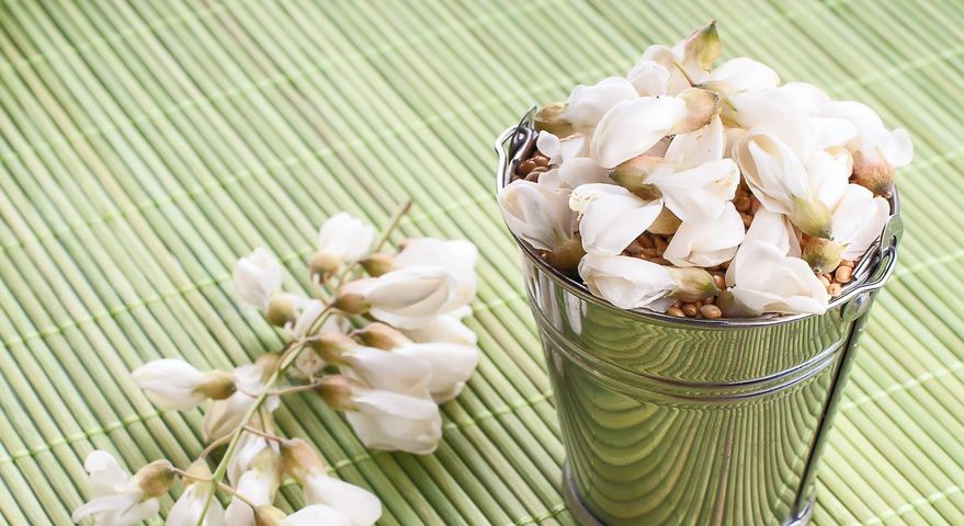 Kwiaty bakopy mają liczne zastosowania zdrowotne