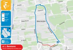 Warszawa. Weekendowe prace drogowe i zgromadzenia
