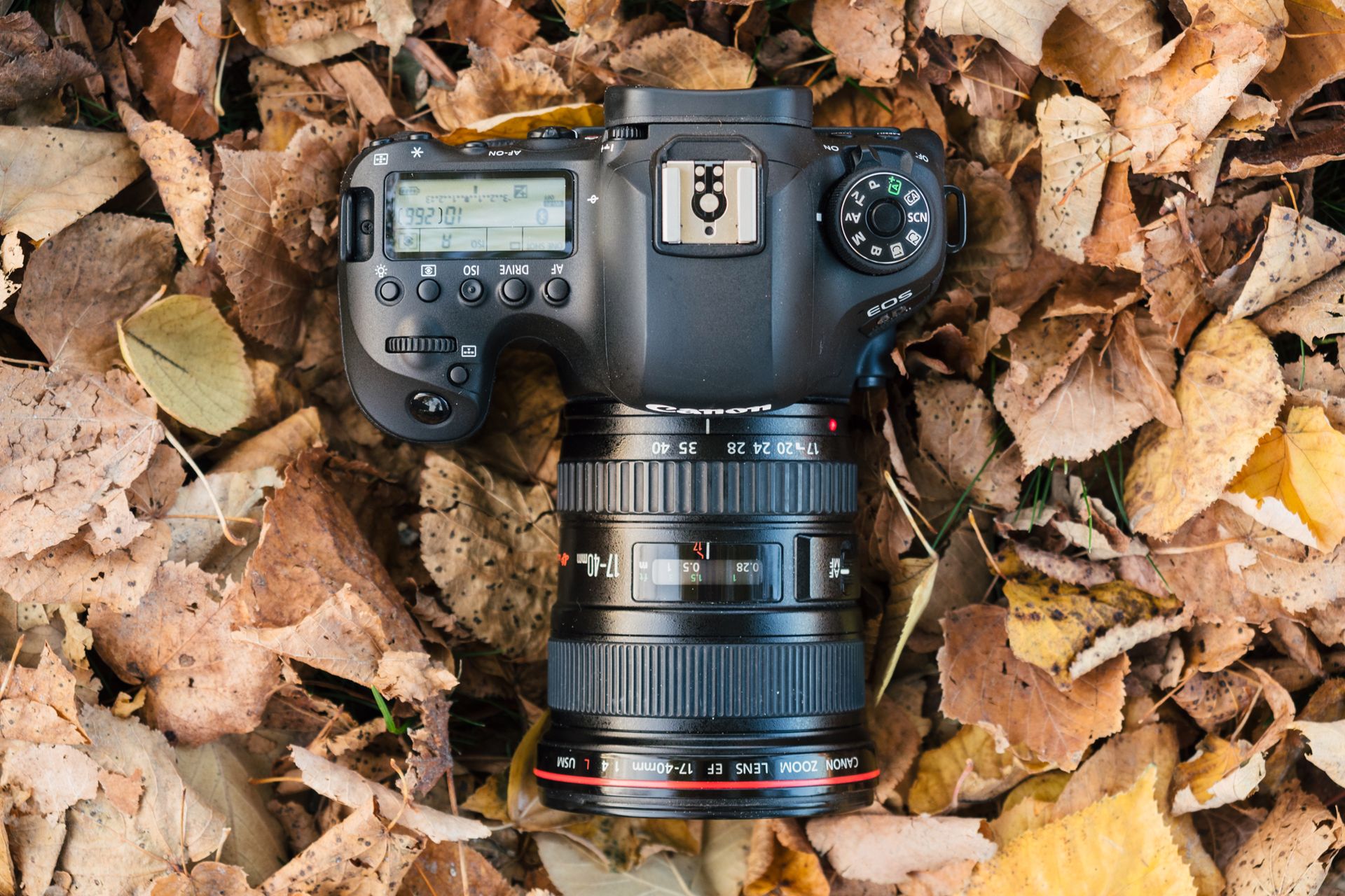 Canon EOS 6D Mark II - test następcy popopularnej pełnoklatkowej lustrzanki 3