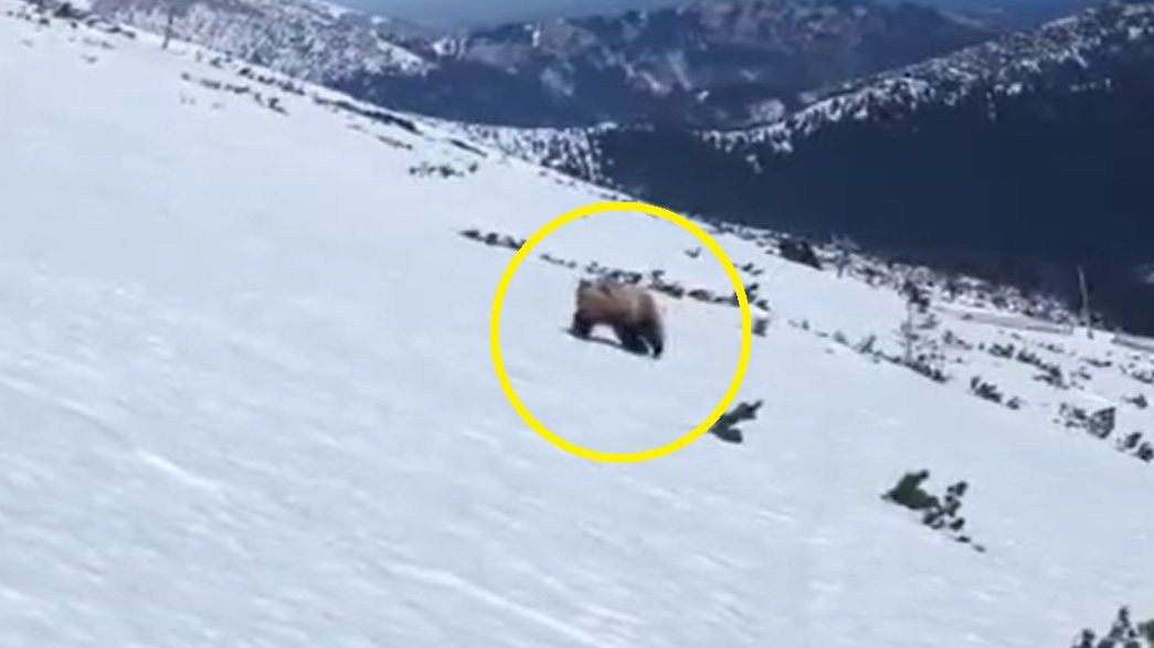 Kadra z nagrania z Łomnicy