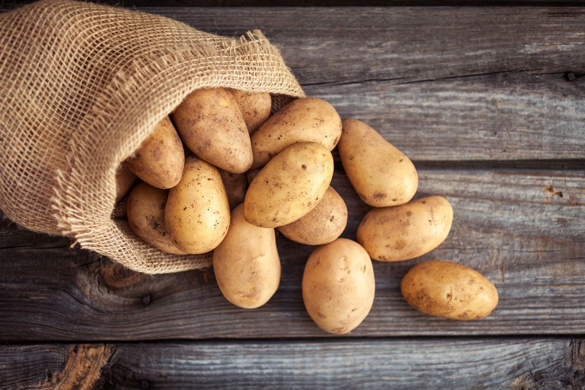 В Польщі бʼють на сполох через дешеву українську картоплю, яка руйнує ринок