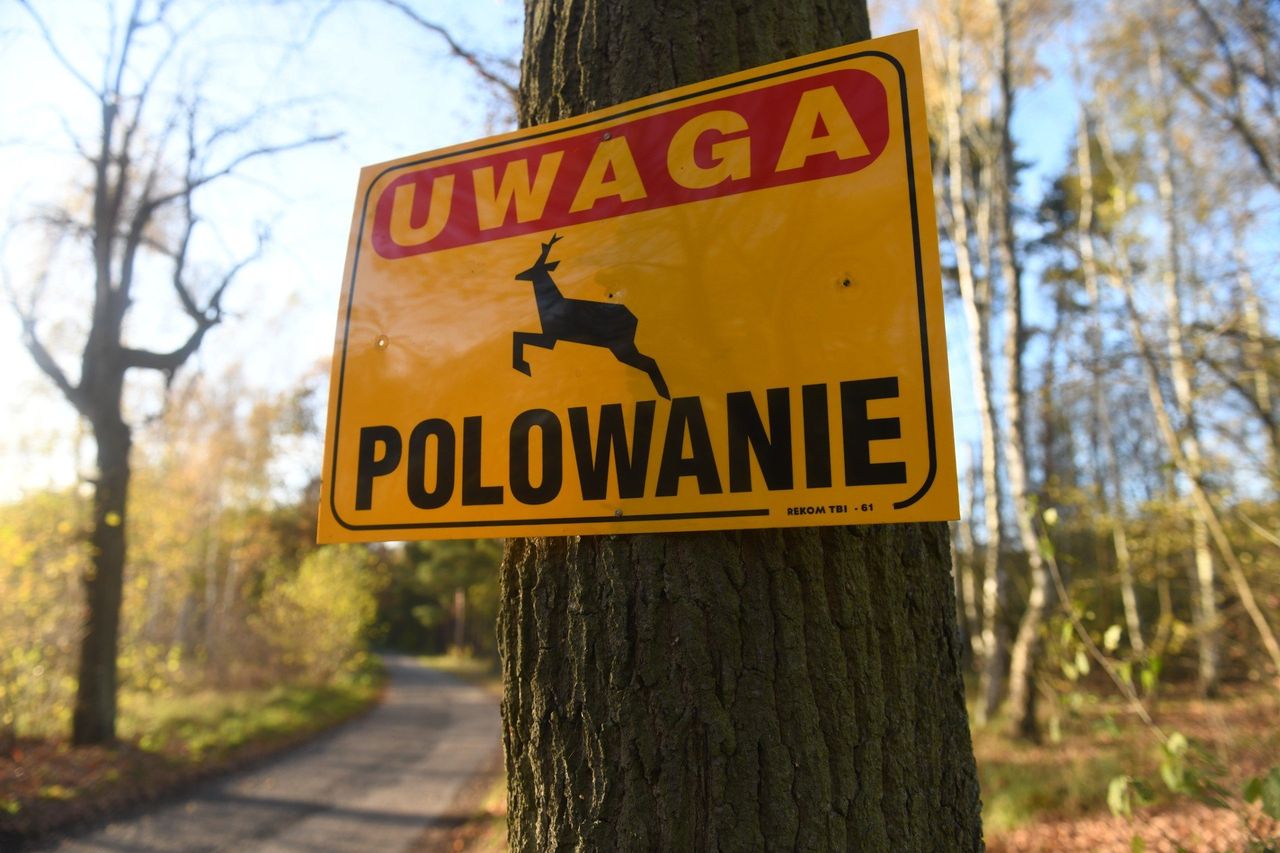 Bukowiec: Mieszkańcy mogą zgłaszać sprzeciwy wobec polowania