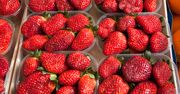 Truskawki pod lupą. Jak nie dać się oszukać i skutecznie pozbyć się pestycydów?