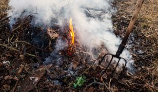 Palenie gałęziami na swojej działce. Oto co mówi prawo