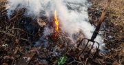 Palenie gałęziami na swojej działce. Oto co mówi prawo