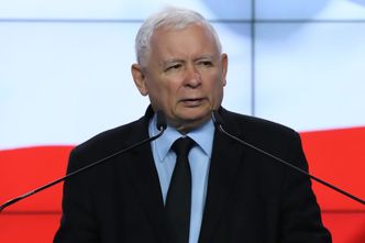 Cyrk bez zwierząt, na futro tylko królik. PiS złożyło projekt ustawy