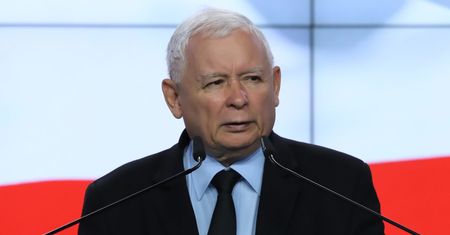 Cyrk bez zwierząt, na futro tylko królik. PiS złożyło projekt ustawy