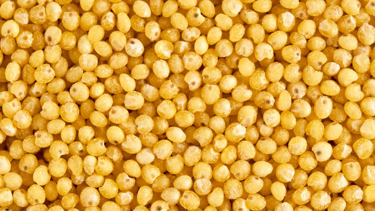 Makaron grandine nie jest znany w Polsce