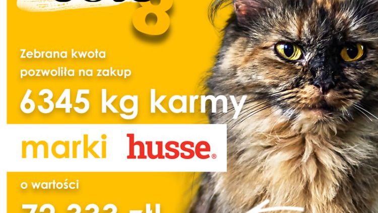 Nakarm koty z COTE
