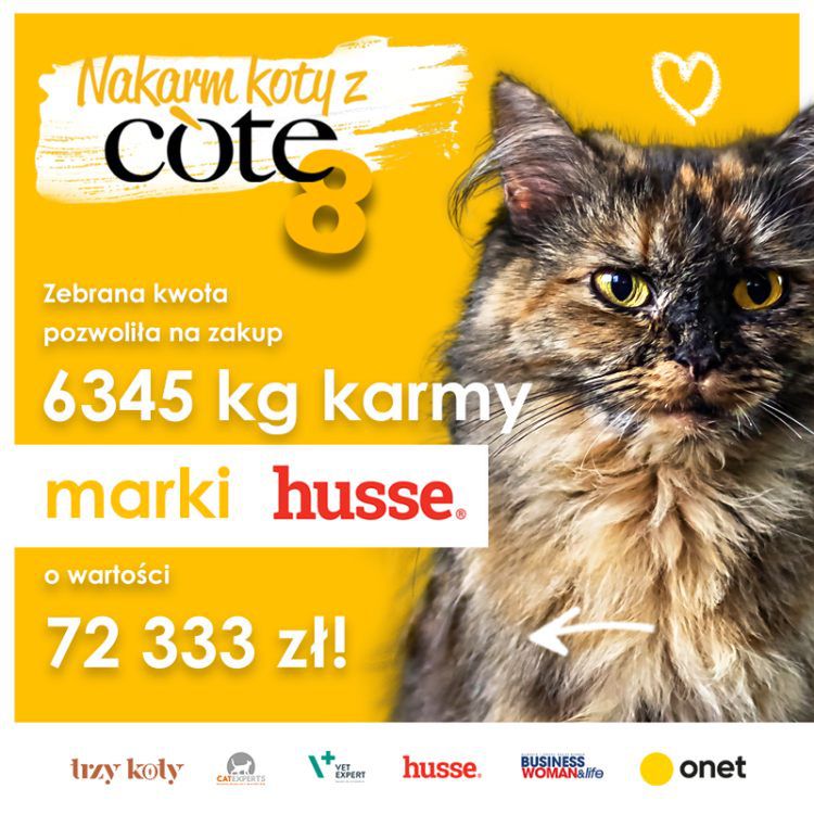 „Nakarm koty z COTE” – 8 edycja akcji pobiła rekord!