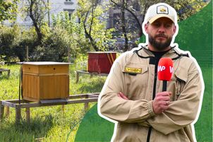 Kupujesz tylko wiejski miód? Pszczelarz mówi prawdę o ulach w miastach