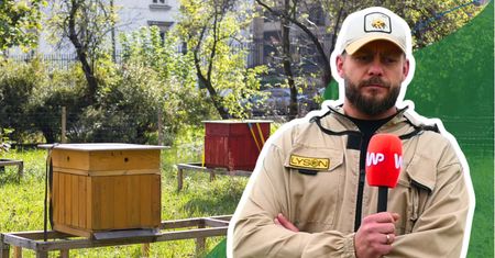 Kupujesz tylko wiejski miód? Pszczelarz mówi prawdę o ulach w miastach