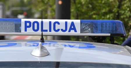 Bójka w Sejmie z udziałem aktora. Policja ZATRZYMAŁA napastnika. Dziś ma usłyszeć zarzuty