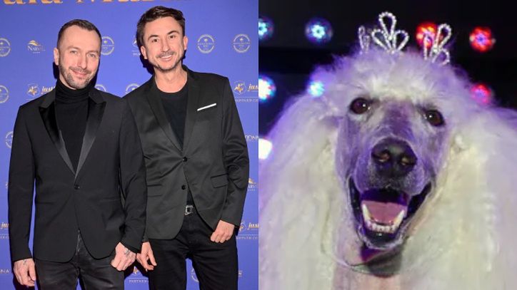 PUDELEK NA WOŚP: Wylicytuj zaproszenie VIP na urodziny Pudelka!