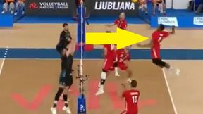 Wilfredo Leon nie ma litości dla rywali. Takie akcje to poezja [WIDEO]