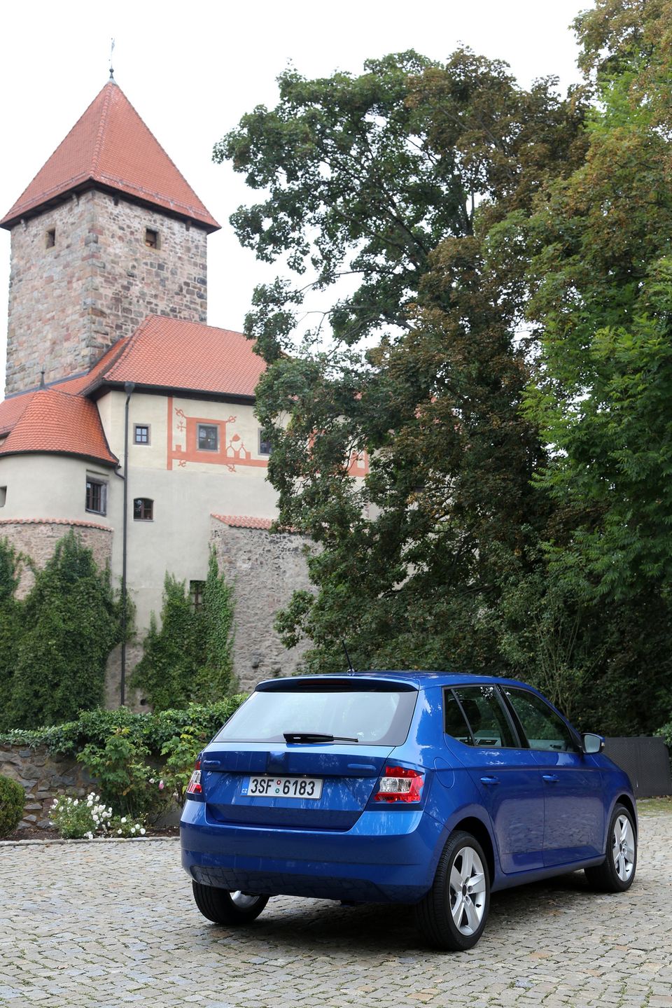 Obraz