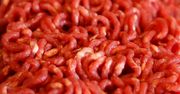 Surowe mielone mięso wieprzowe (84% mięsa, 16% tłuszczu)