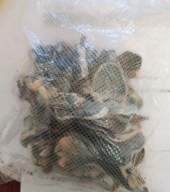 Pomorskie: Policjanci zatrzymali 32-latka. W mieszkaniu miał grzyby halucynogenne, LSD i marihuanę