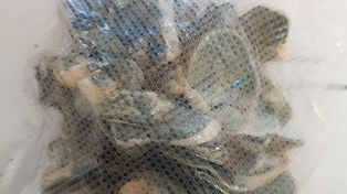 Pomorskie: Policjanci zatrzymali 32-latka. W mieszkaniu miał grzyby halucynogenne, LSD i marihuanę