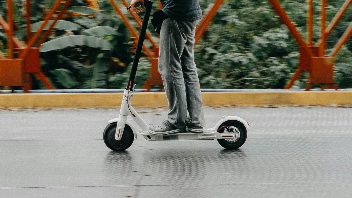 Nietypowa interwencja służb