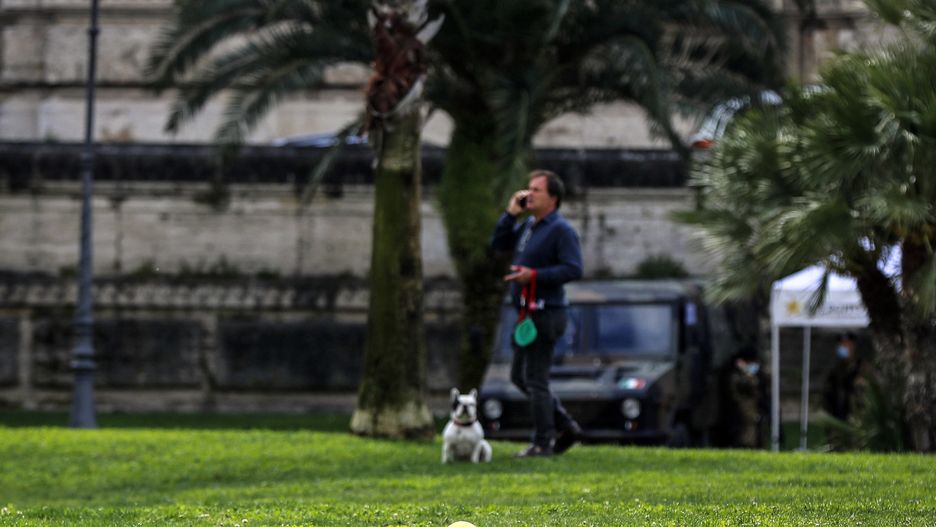 Wrocław. W mieście można bezpłatnie oznakować psa lub kota