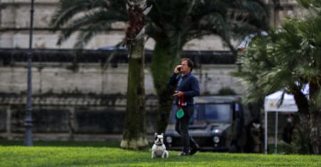 Wrocław. Bezpłatne znakowanie psów i kotów. Miasto zachęca do wzięcia udziału w akcji