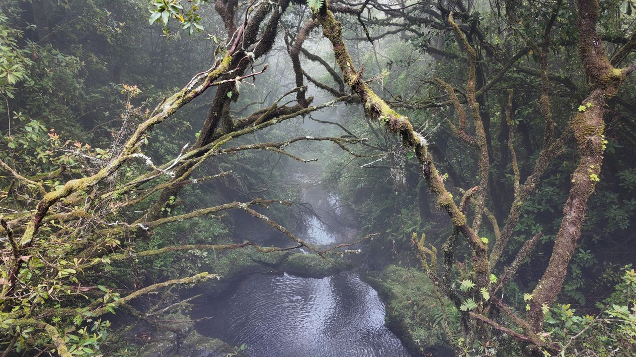 Levada do Furado, Madera