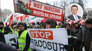 "Mocna lekcja pokory" dla rolników? Prawnik z Brukseli o umowie handlowej z Mercosurem