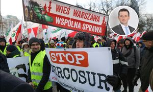 "Mocna lekcja pokory" dla rolników? Prawnik z Brukseli o umowie handlowej z Mercosurem
