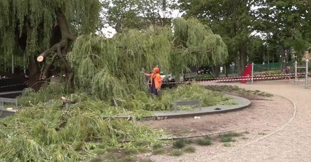 W gdyńskim parku gałąź spadła na rowerzystkę