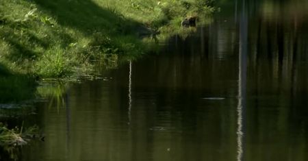 Tragedia na weselu w Żelechlinku. Wyniki sekcji zwłok 21-latki