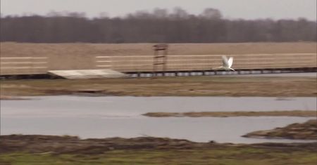 Susza w Polsce: Narew – Polska Amazonka na skraju zagłady.
