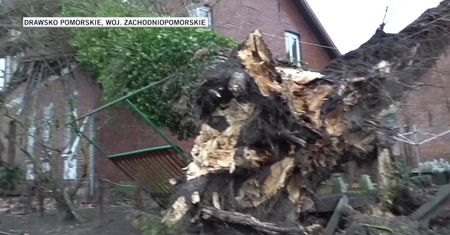 Setki połamanych drzew, pozrywane dachy i brak prądu. Drawsko Pomorskie mocno odczuło skutki wichur
