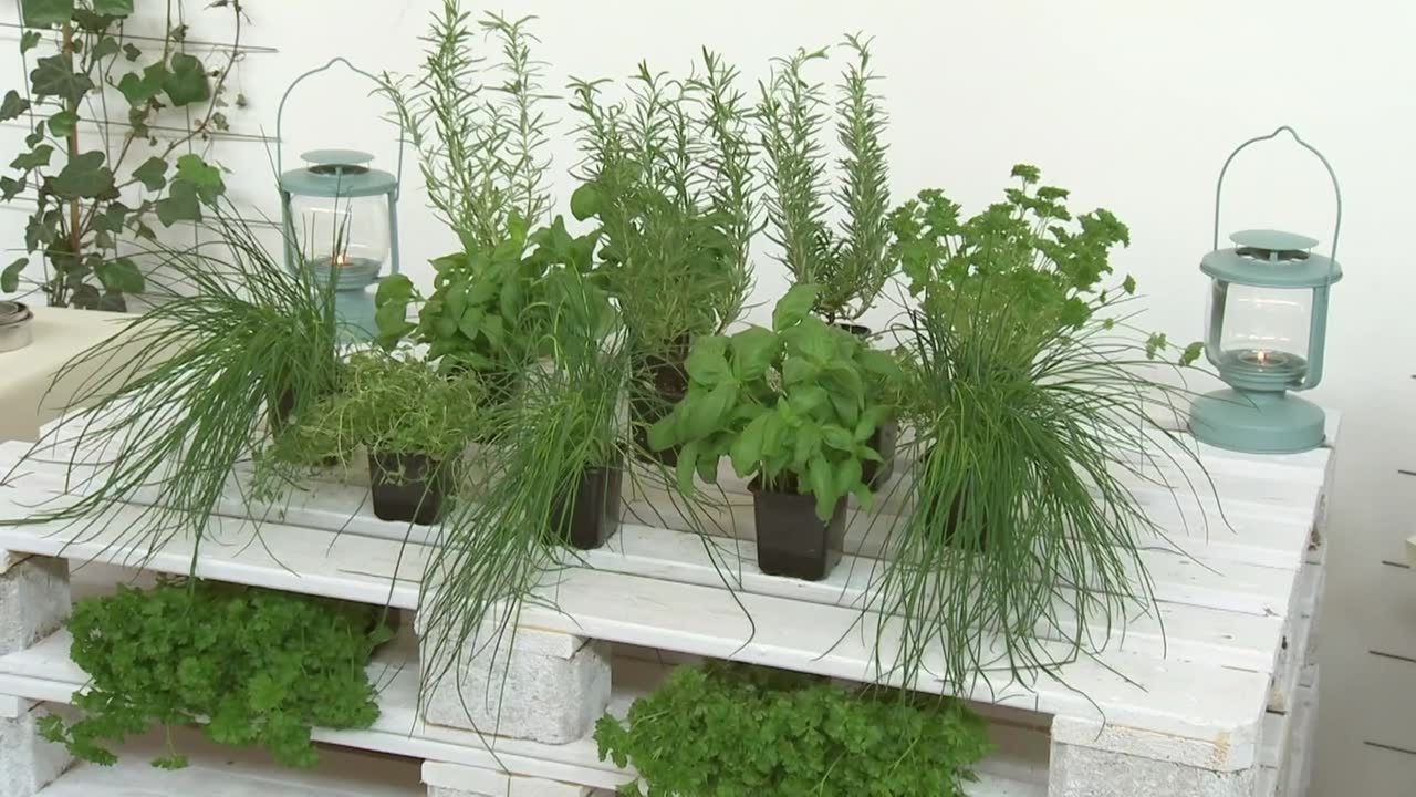 Wszystko, co warto wiedzieć o nowalijkach. Kto powinien na nie uważać?