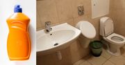Płyn do mycia naczyń na zatkaną toaletę lub zlew