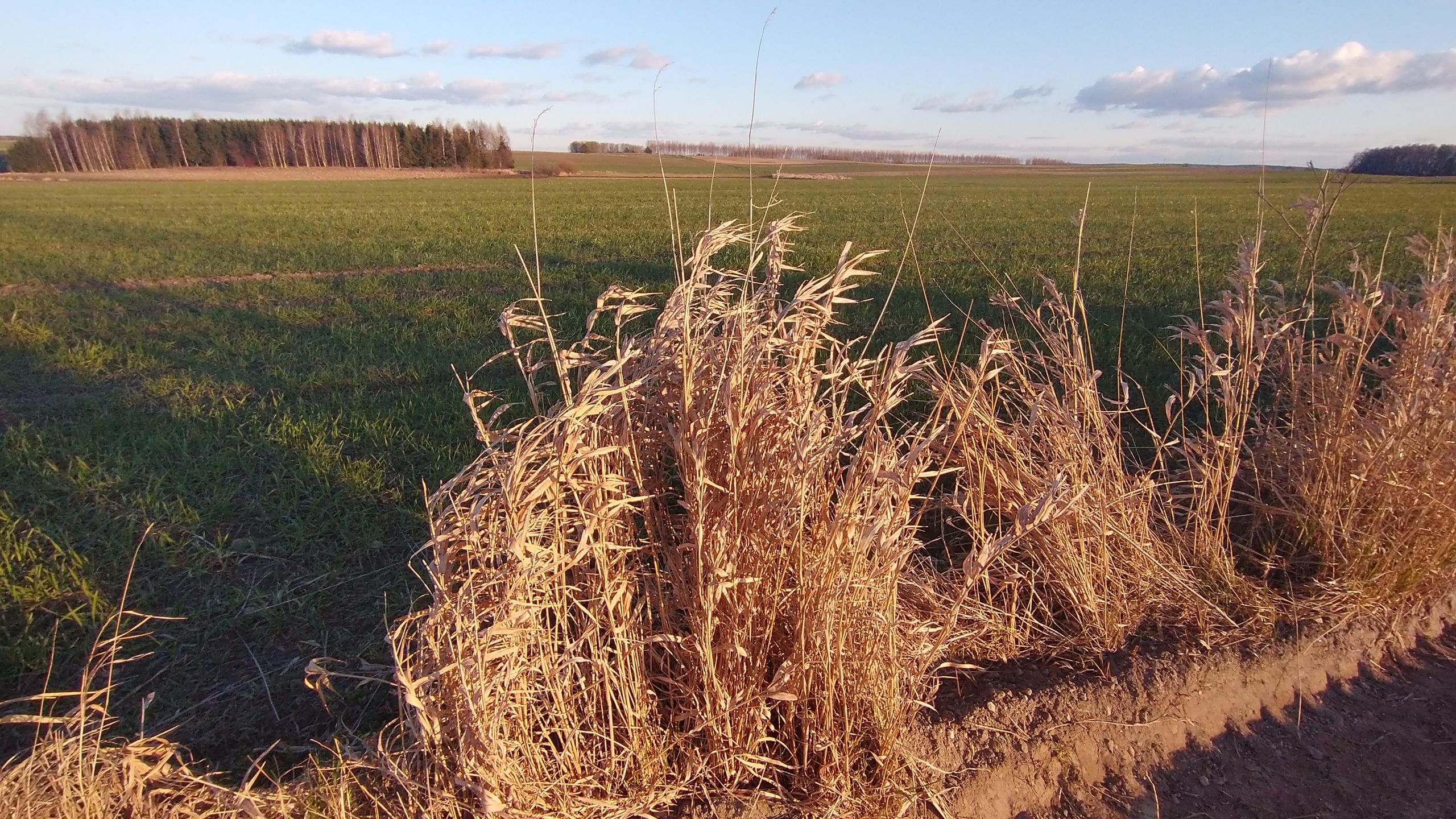 Motorola Moto G8 Power: test telefonu z dużą baterią za 1000 zł 42