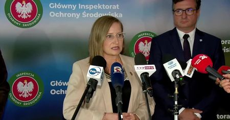 Masowe śnięcie ryb w Odrze. GIOŚ: Badania potwierdzają podwyższenie pewnych parametrów. Ale nie występuje mezytylen