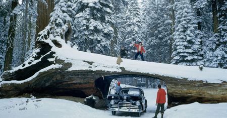 Genialne zdjęcia, które zostały zakopane w archiwum National Geographic