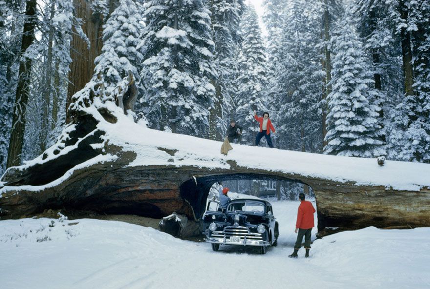 Genialne zdjęcia, które zostały zakopane w archiwum National Geographic 1