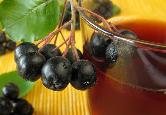 Aronia przeciw chorobom cywilizacyjnym