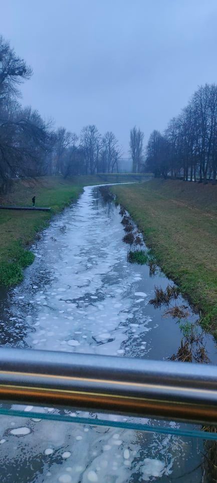 Piana w rzece Bystrzyca