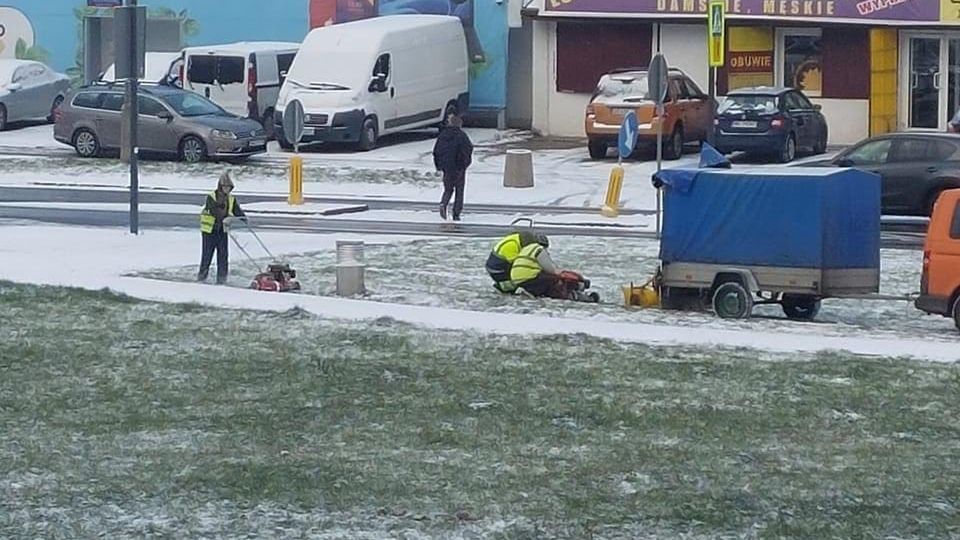 Koszenie pokrytej śniegiem trawy