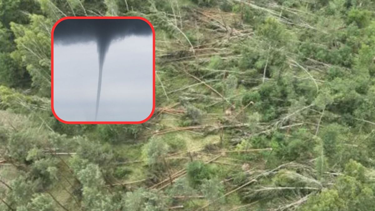 Lasy zamknięte do końca roku. Trąba powietrzna na Lubelszczyźnie
