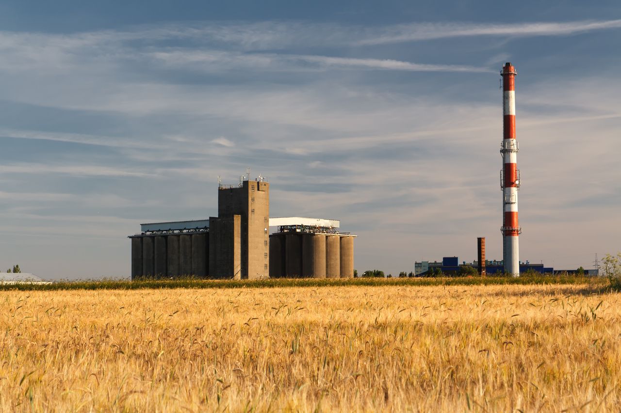 Ukraińskie zboże trafi do Polski? Rząd otwarty na inicjatywę USA