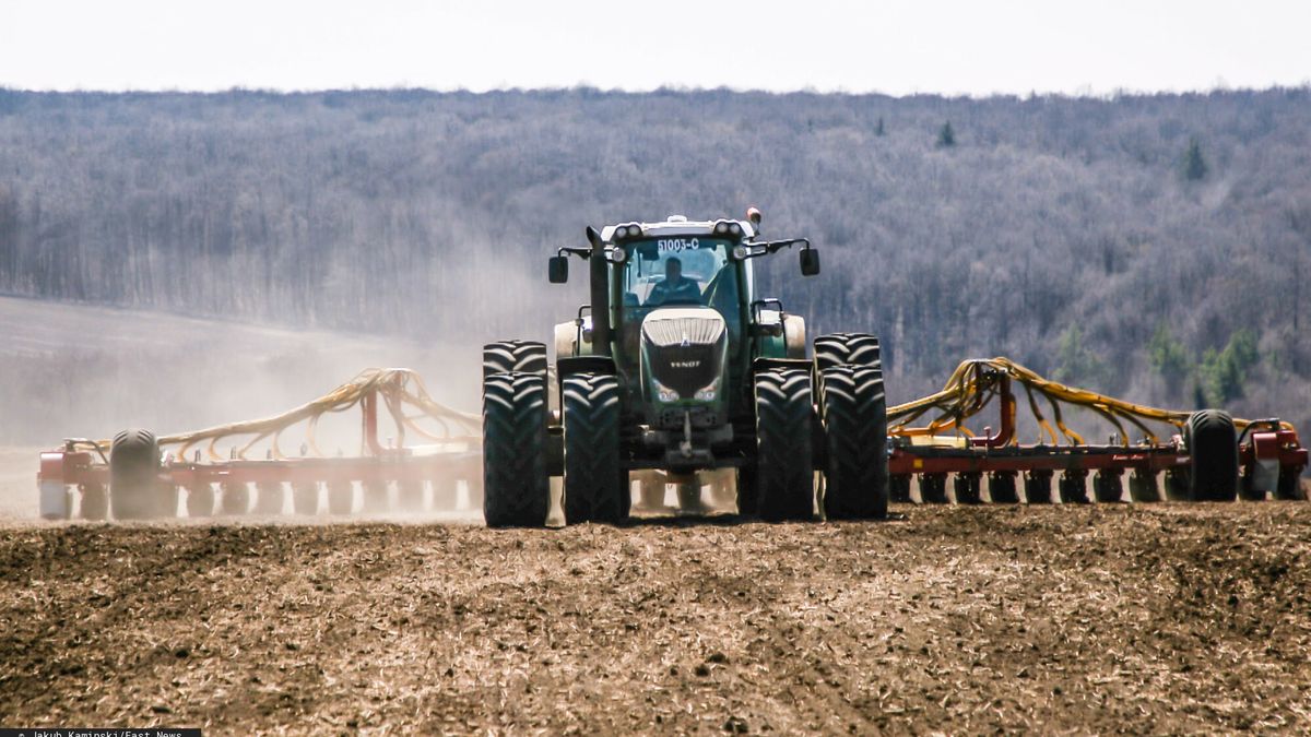 Zboże z Ukrainy miało przejechać przez Polskę tranzytem. Trafiło jednak na nasz rynek