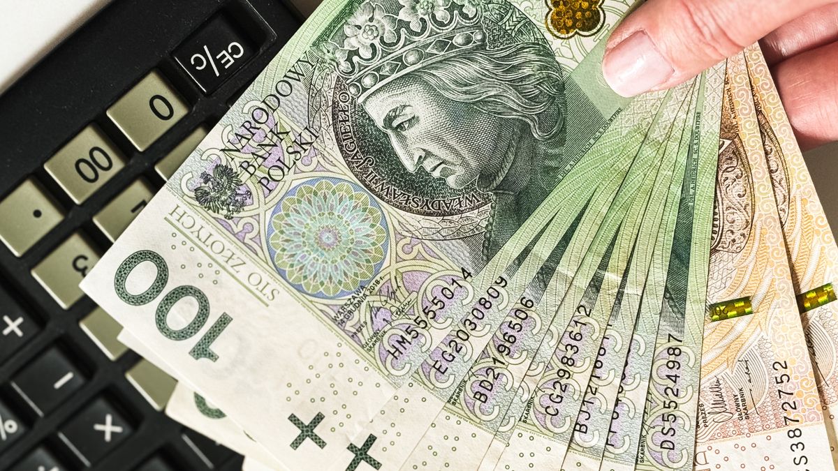 banknoty, polskie, waluta, gotówka, finanse, wymiana, bank, rachunek, kasa, wynagrodzenie, podatek, pensja, dochód, dochody, emerytura, renta, inflacja, budżet, dotacje, ekonomia, pożyczka, kredyt, kalkulator, bisnes, finansowy, banknot, inwestycja, gospodarka